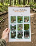 Talapus & Olallie Lake Hike Scavenger Hunt Printable for Kids