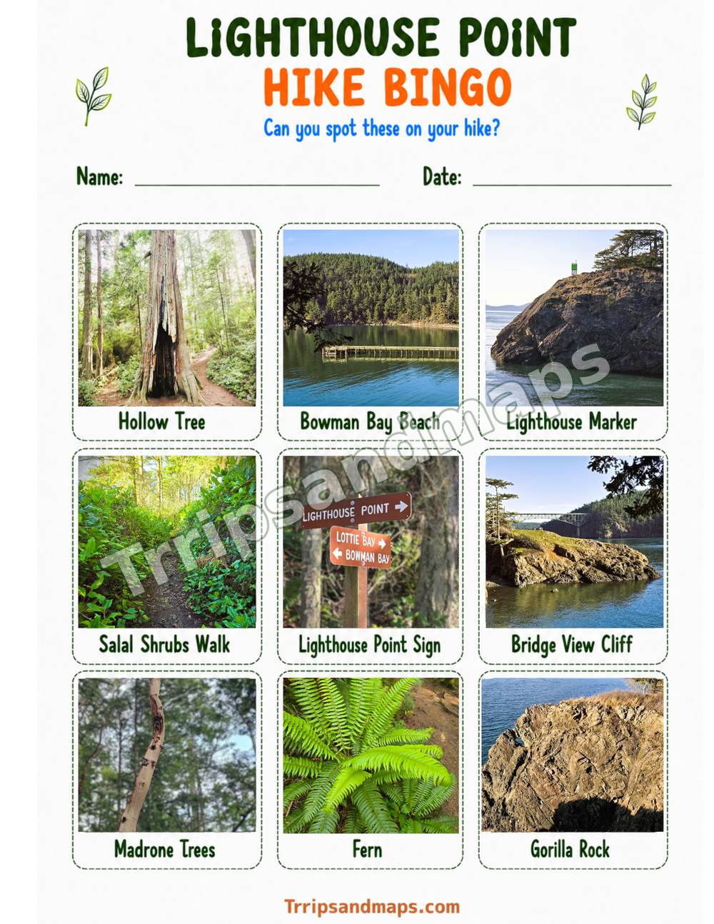 Lighthouse Point Hike Bingo